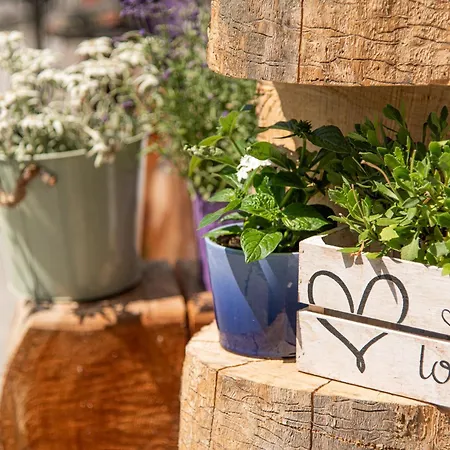 Apartmán Lieblingsplatzl Inklusive Kostenfreiem Eintritt In Alpentherme Ganzjaehrig - Im Sommer Freie Bergbahnfahrten Bad Hofgastein